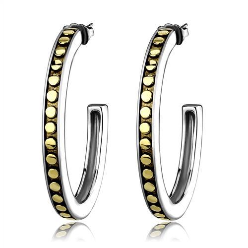 JCE2891 Two-Tone IP Gold (Ion Plating) Stainless Steel Earrings with Epoxy  in Jet