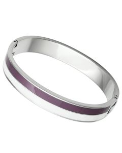 JCE790 High polished (no plating) Stainless Steel Bangle with Epoxy  in Multi Color